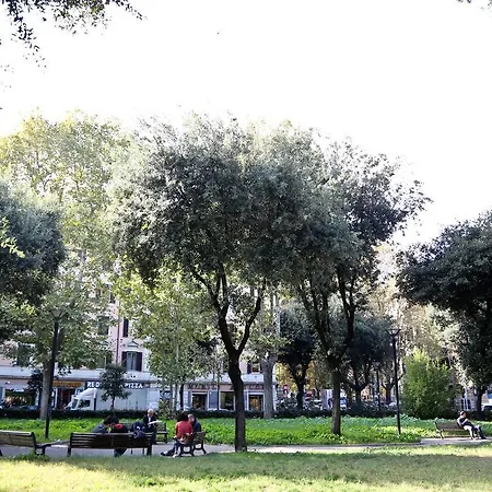 Mia Domus *